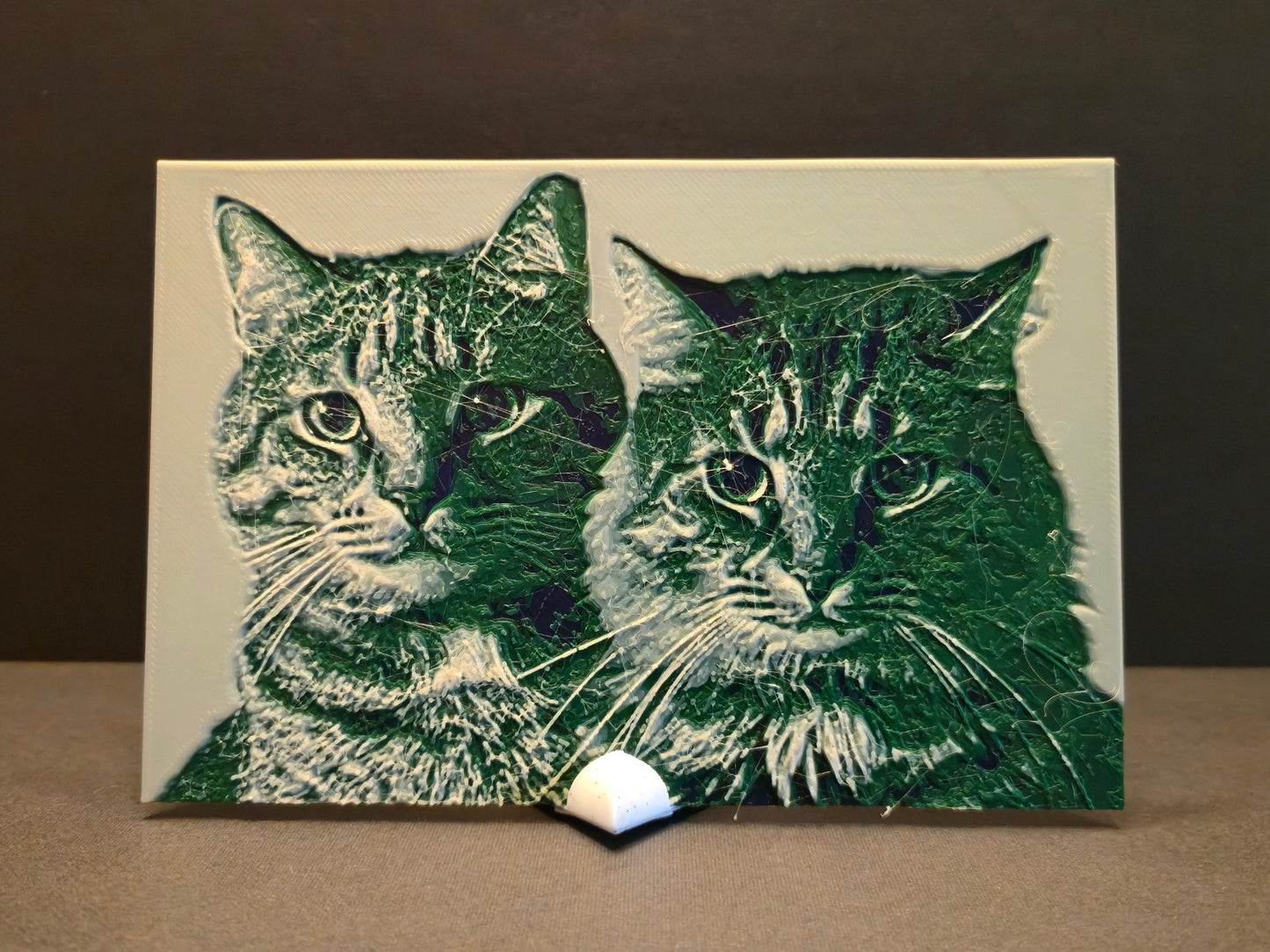 Custom 3d Printed Photograph with Stand