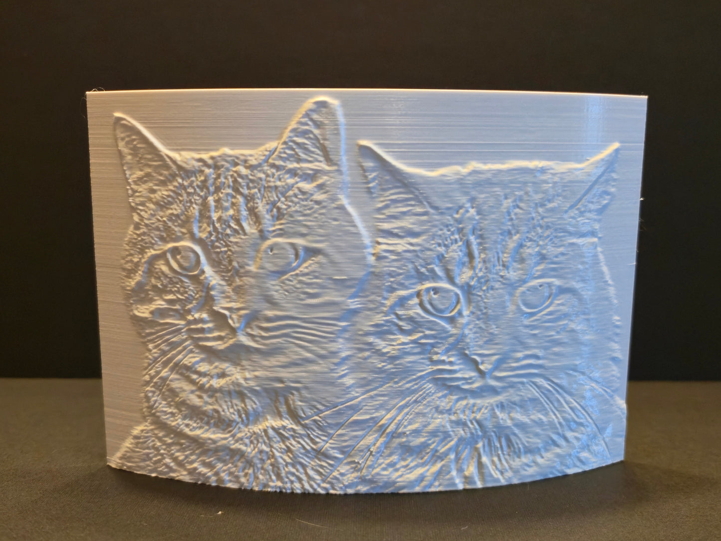 Custom 3d Printed Lithophanes