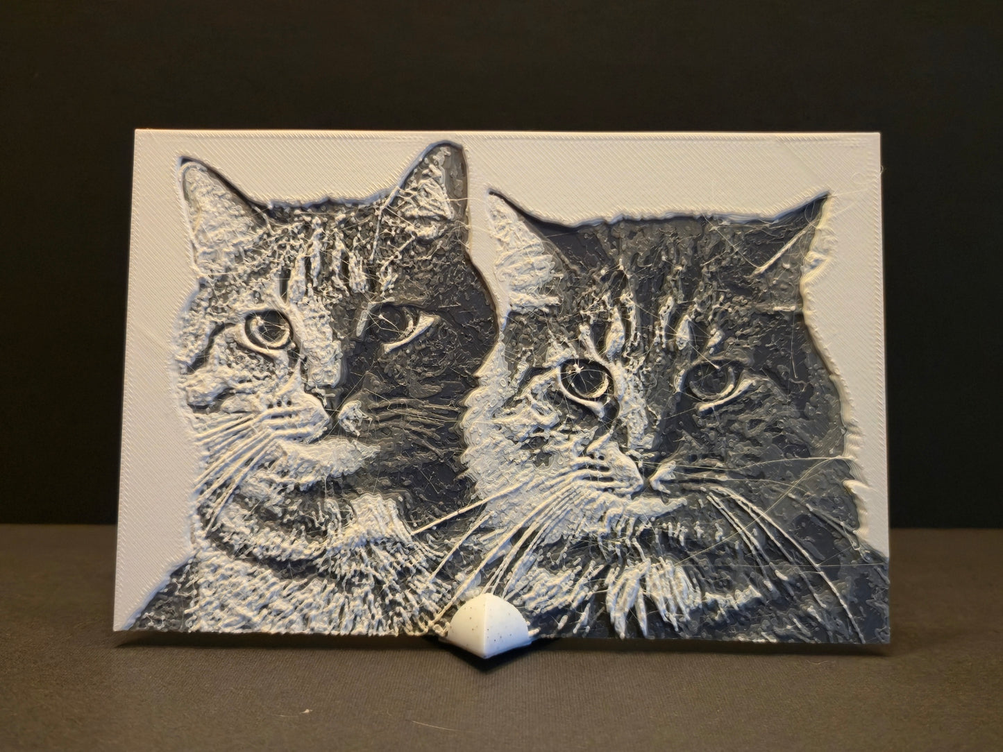 Custom 3d Printed Photograph with Stand