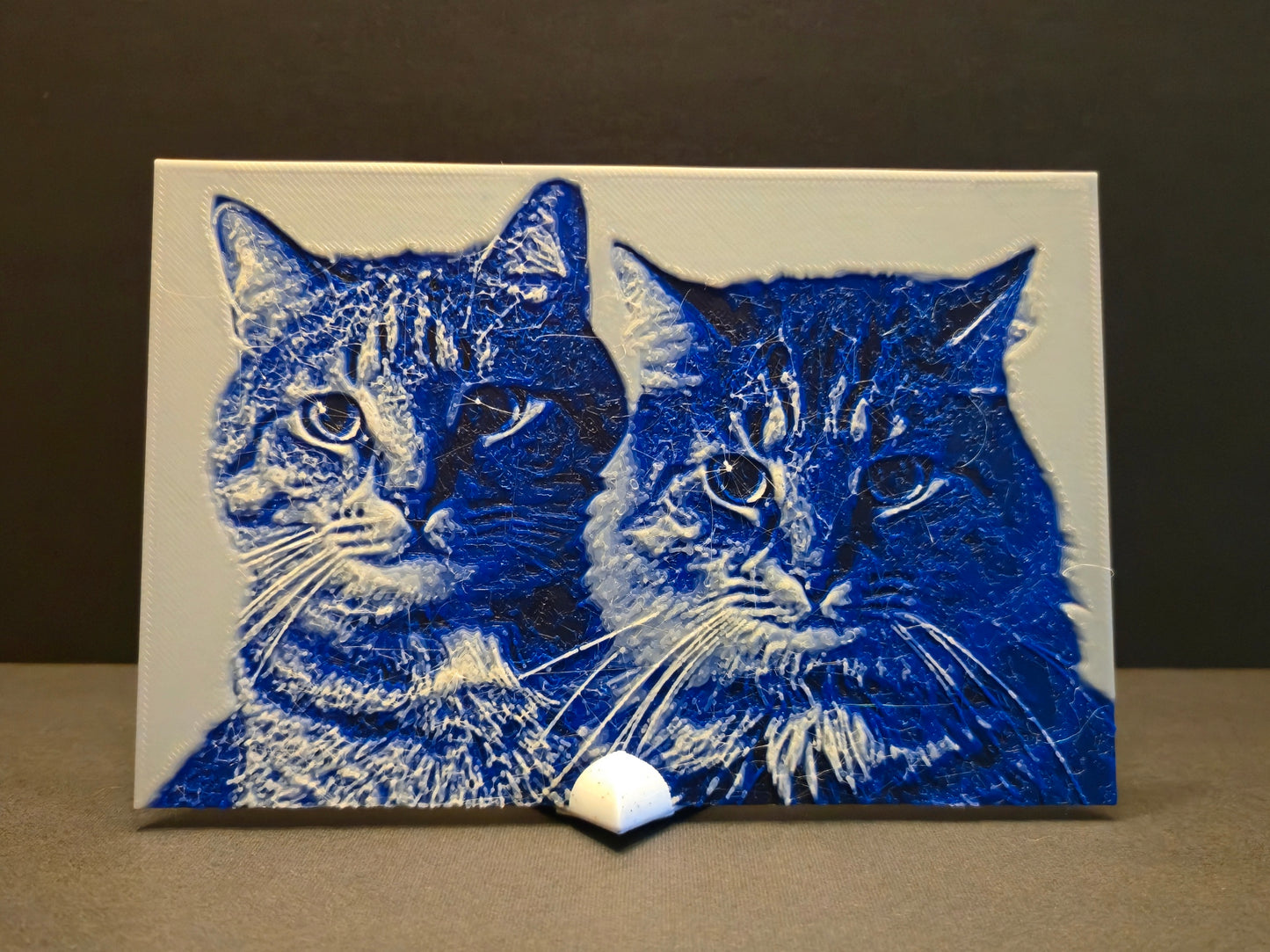 Custom 3d Printed Photograph with Stand