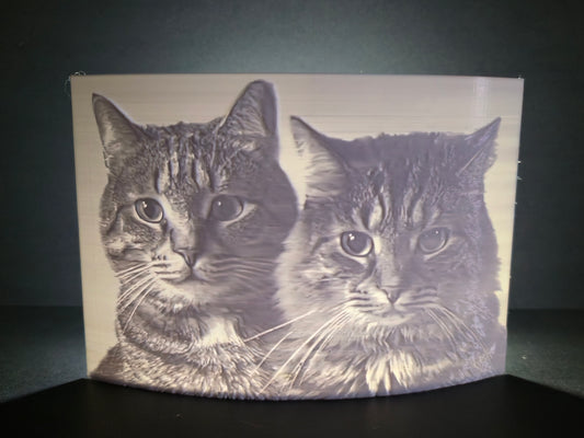 Custom 3d Printed Lithophanes