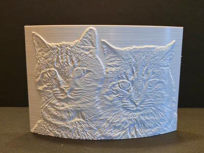 Custom 3d Printed Lithophanes