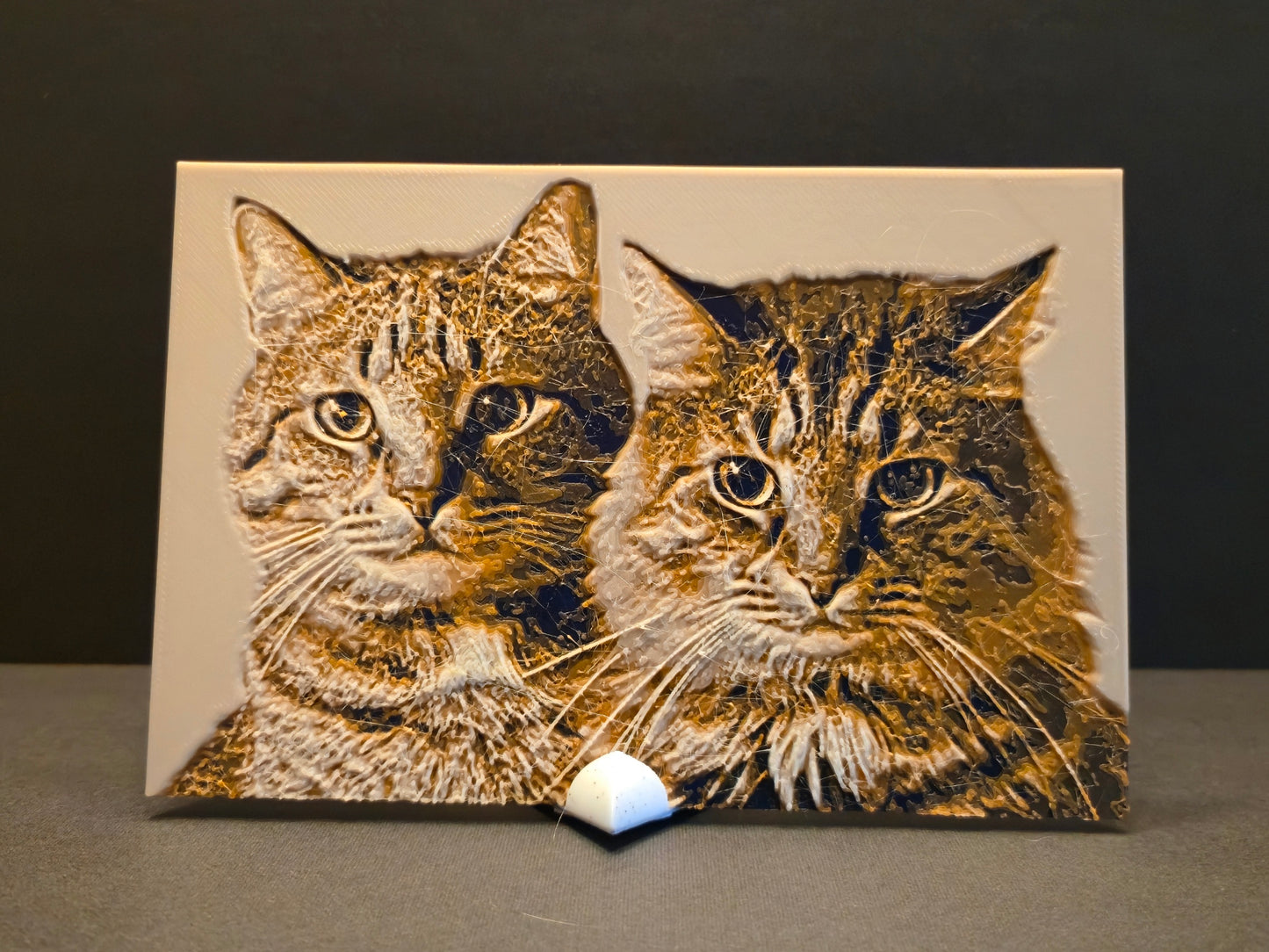 Custom 3d Printed Photograph with Stand