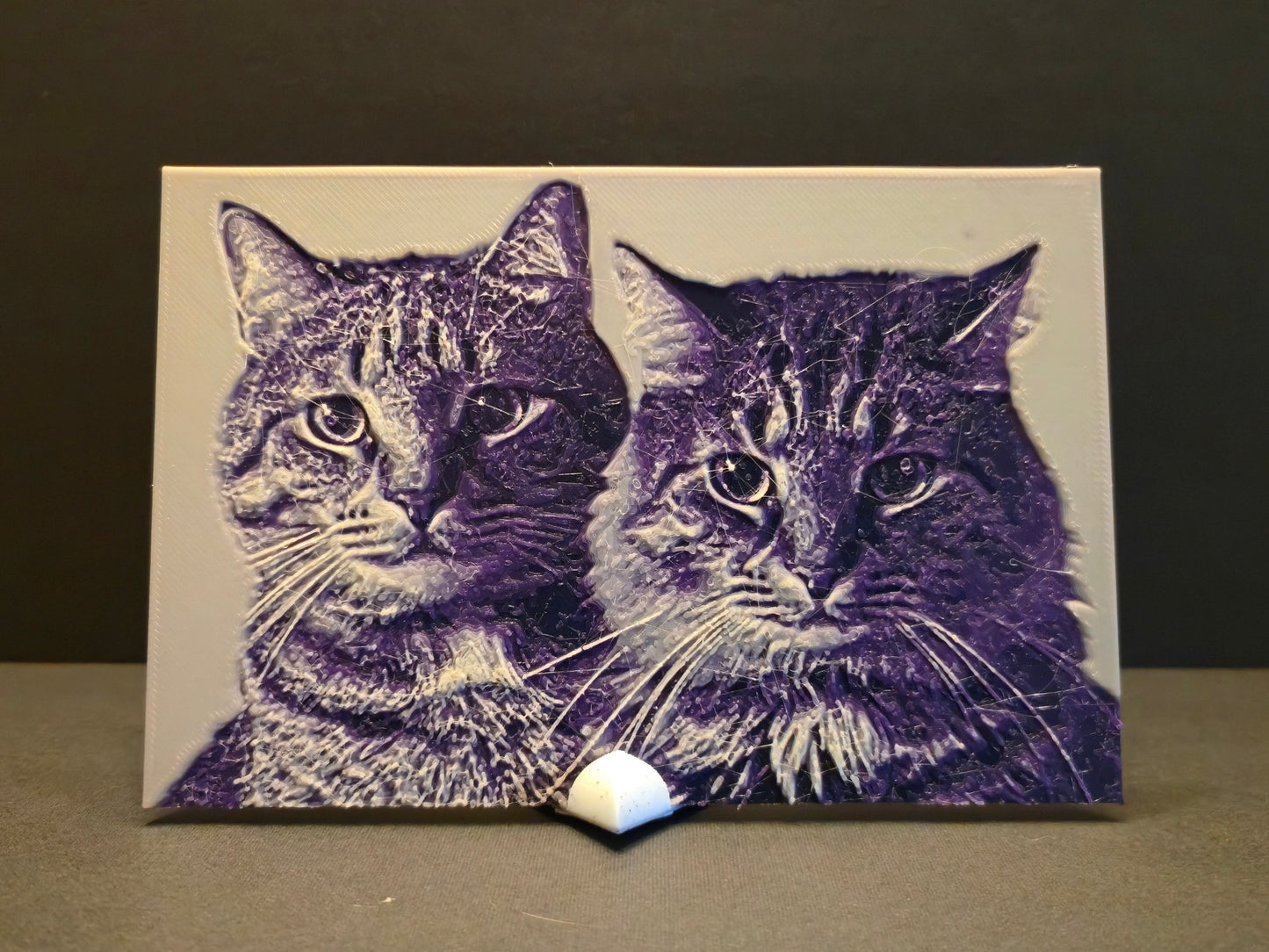 Custom 3d Printed Photograph with Stand