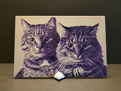 Custom 3d Printed Photograph with Stand