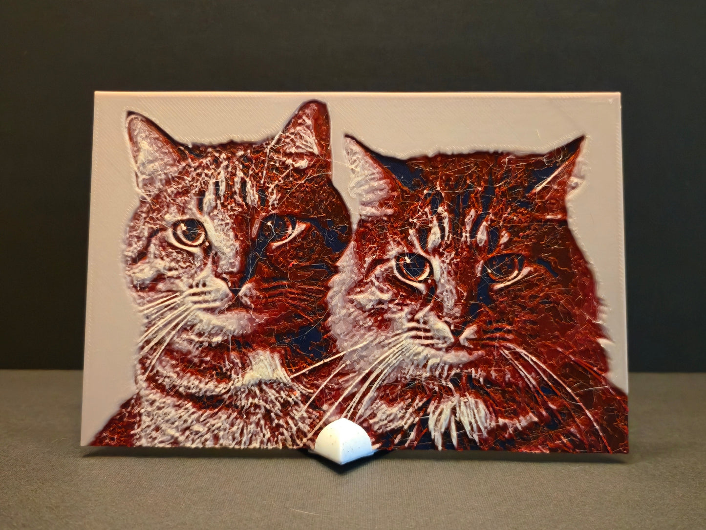 Custom 3d Printed Photograph with Stand