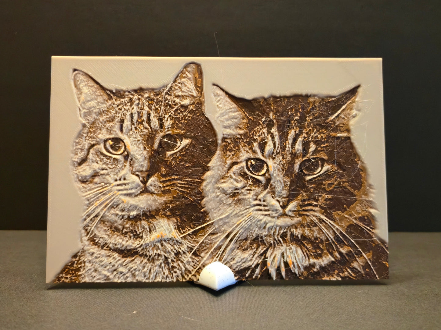 Custom 3d Printed Photograph with Stand