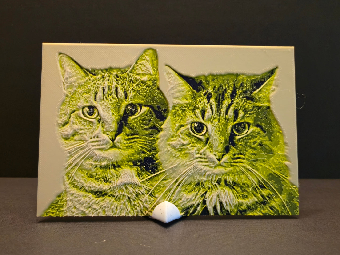 Custom 3d Printed Photograph with Stand